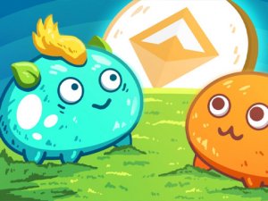 Axie Infinity Memory Card Match Online Game