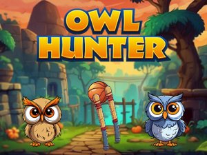 Owl Hunter Adventure Game