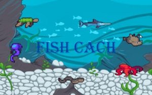 Aquatic Net Dash