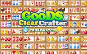 Shelf Sort Match Puzzle