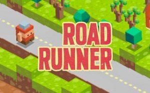 Road Runner Endless Dash