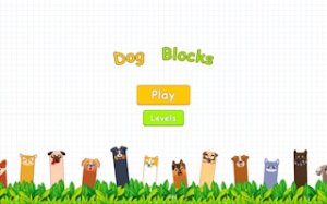 Puzzle Blocks Animal Game