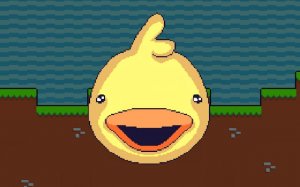 DuckWAK: Duck Brothers Adventure Online Game