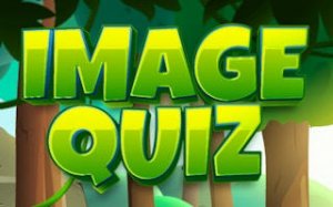 Picture Guessing Puzzle Quiz