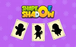 Shadow Illusions Puzzle Game