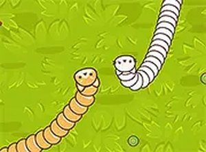 Friendly Snake Arena